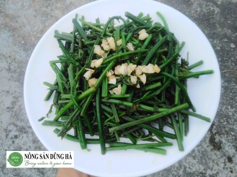 tra-loi-rau-don-co-phai-la-cay-duong-xi-khong