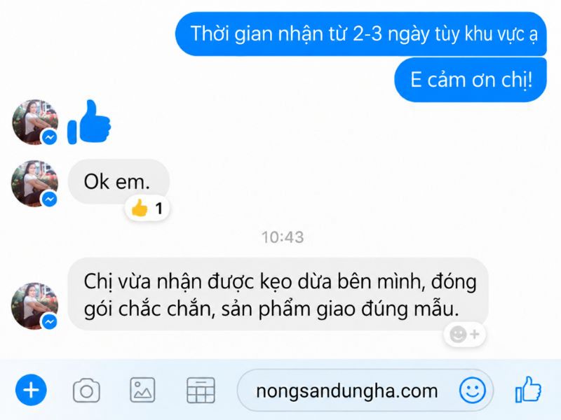 cam-nhan-khach-hang-keo-dua-thap-cam-tuyet-huong-250g-tai-nong-san-dung-ha