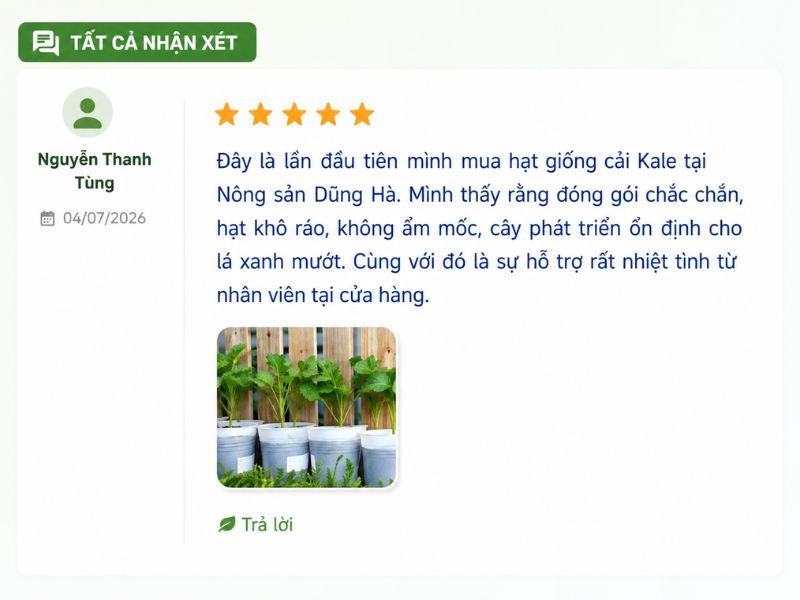 danh-gia-khach-hang-hat-giong-cai-xoan-kale-cua-nong-san-dung-ha