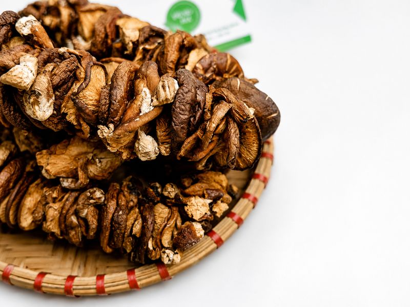 nam-huong-rung-xien-dung-ha-loai-dac-biet