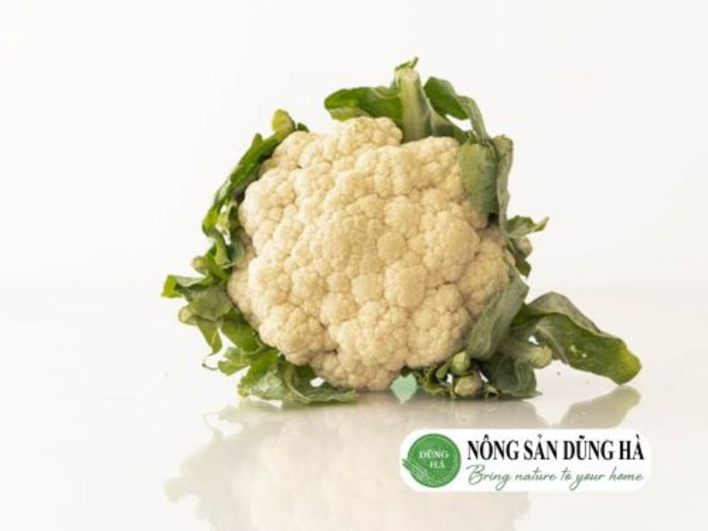 sup-lo-trang-nong-san-dung-ha-chat-luong-tot