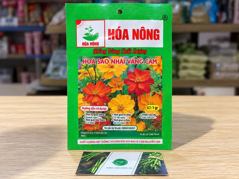 hat giong hoa sao nhai vang cam