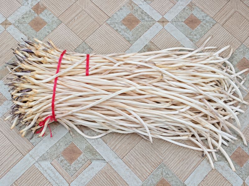 ngo-sen-tuoi-1kg-tai-nong-san-dung-ha