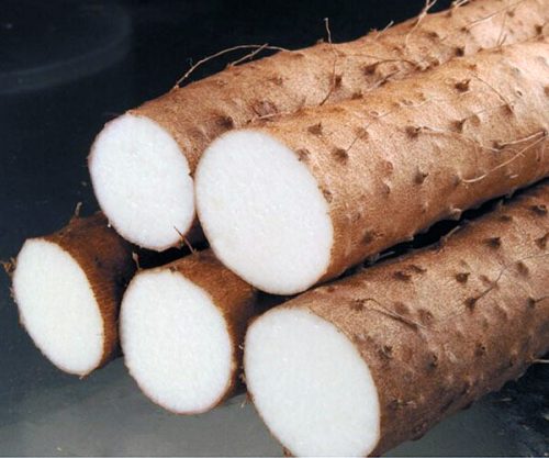 bán củ mài hoài sơn