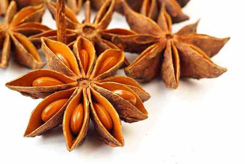 Bán hoa hồi khô ở đâu tại Hà Nội Bán hoa hồi khô ở đâu tại Hà Nội