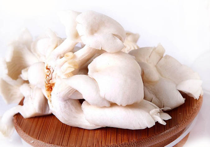 bao ngu trang