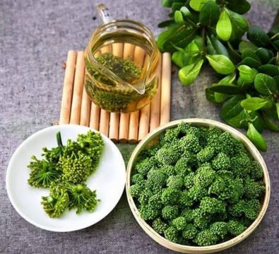 Cách pha trà nụ hoa tam thất - Hướng dẫn dùng, sử dụng trà hiệu quả cach pha nu hoa tam that
