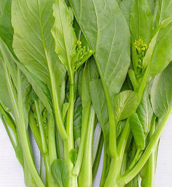 Hạt giống cải ngồng Hạt giống cải ngồng