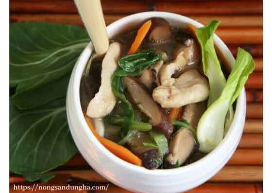 canh nam tra tan dung ha