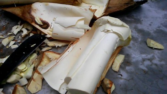 Củ hủ dừa là gì ? - Vì sao Củ hủ dừa là đắc sản của Bến Tre Củ hủ dừa là gì ? - Vì sao Củ hủ dừa là đắc sản của Bến Tre
