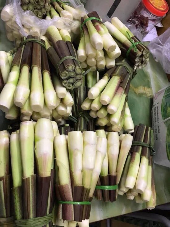 Địa chỉ cung cấp củ niễng uy tín tại Hà Nội Địa chỉ cung cấp củ niễng uy tín tại Hà Nội
