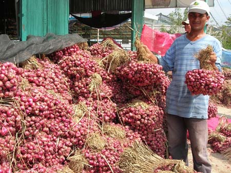 Đại lý thu mua nông sản - Kế hoạch phát triển nông sản trong tương lai Đại lý thu mua nông sản - Kế hoạch phát triển nông sản trong tương lai