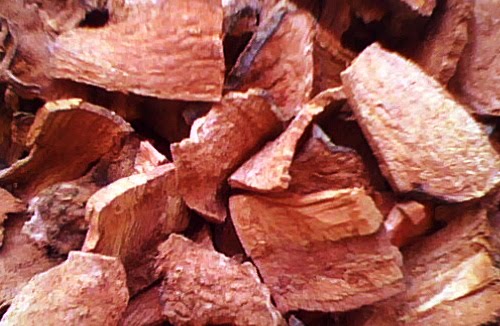 mua hà thủ ô đỏ tại Hà Nội mua hà thủ ô đỏ tại Hà Nội