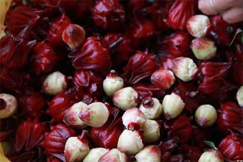Bí kíp dùng atiso ngâm rượu đơn giản atiso ngam ruou