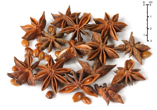 Hoa hồi có tác dụng gì ? 7 tác dụng của hoa hồi với sức khỏe Hoa hồi có tác dụng gì ? 7 tác dụng của hoa hồi với sức khỏe