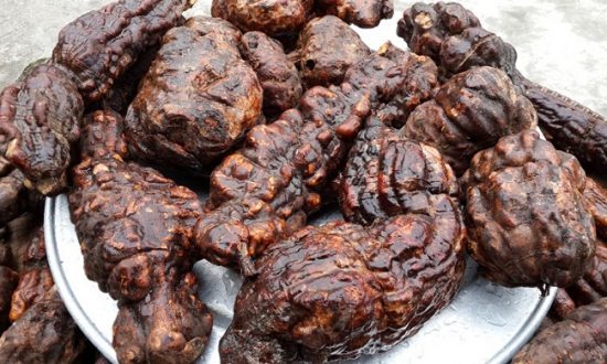 Hướng dẫn cách dùng hà thủ ô đỏ Hướng dẫn cách dùng hà thủ ô đỏ
