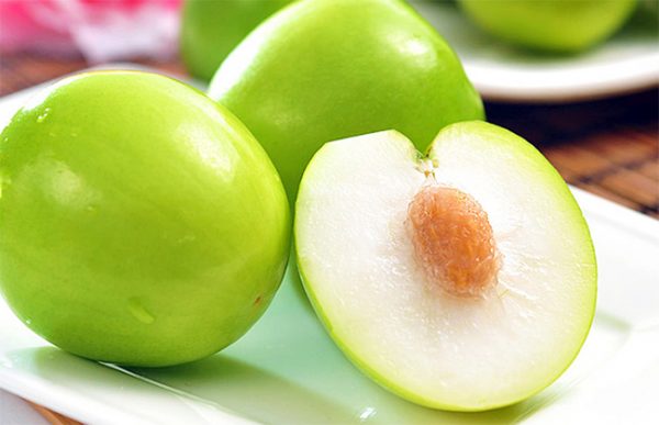 Mua táo ninh thuận sạch ở đâu tại Hà Nội mua tao gio ninh thuan sach