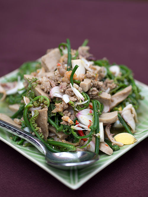 Món ăn hấp dẫn và tác dụng chữa bệnh tuyệt vời của rau dớn rừng Món ăn hấp dẫn và tác dụng chữa bệnh tuyệt vời của rau dớn rừng