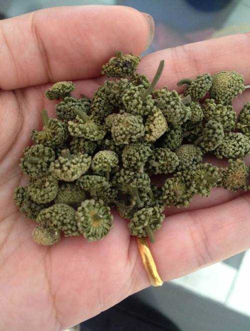 tac-dung-nu-hoa-tam-that