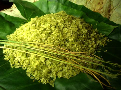 Mua gạo nếp tại đâu hà nội chỗ nào ngon dẻo Mua gạo nếp tại đâu hà nội chỗ nào ngon dẻo